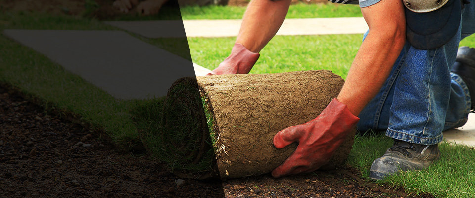 Gassville Landscapers